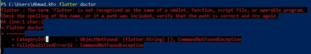 flutter doctor